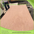 Professional Bintangor Door Skin Plywood Manufacturer From Linyi